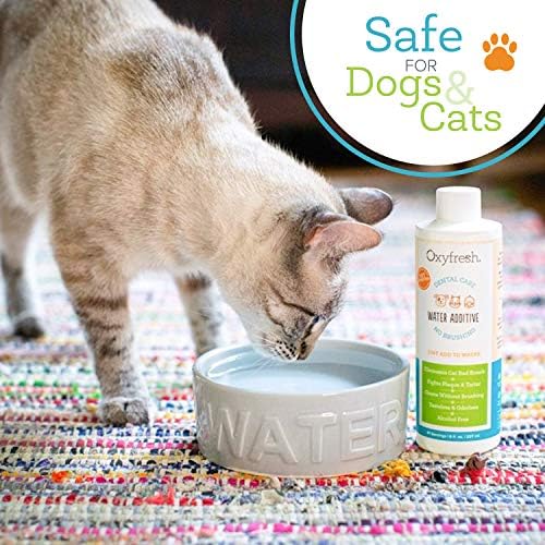 2026 Oxyfresh Premium Pet Dental Care Solution Pet Water Additive: Best Way to Eliminate Bad Dog Breath and Cat Bad Breath – Fights Tartar & Plaque – So Easy  Just Add to Water! Vet Recommended 128 oz.