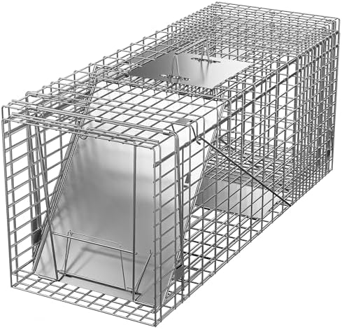 2026 ZENY Live Animal Cage Trap 32′′ X 12.5′′ X 12′′ w/Iron Door Steel Cage Catch Release Humane Rodent Cage for Rabbits  Stray Cat  Squirrel  Raccoon  Mole  Gopher  Chicken  Opossum  Skunk & Chipmunks