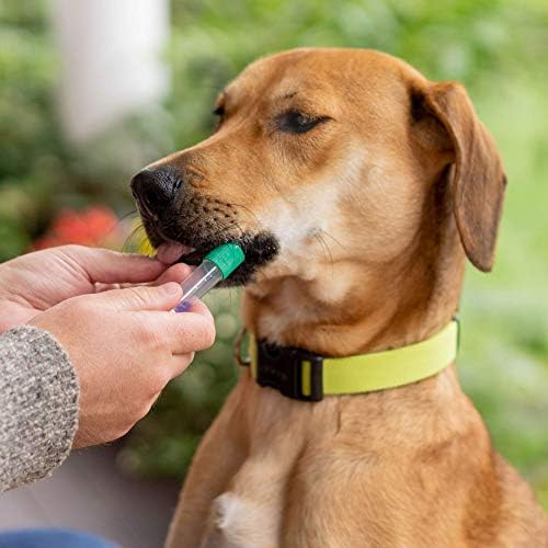 Embark Veterinary Accurate Dog DNA Test: Identify 350+ Breeds