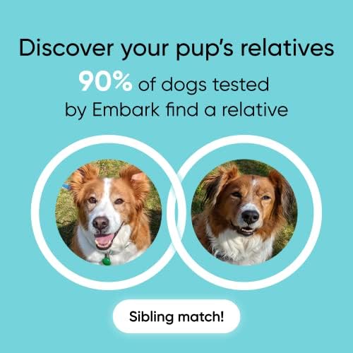 Embark Veterinary Accurate Dog DNA Test: Identify 350+ Breeds