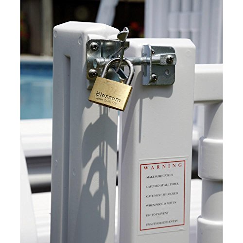 2026 Easy Step Pool Entry System with Gate