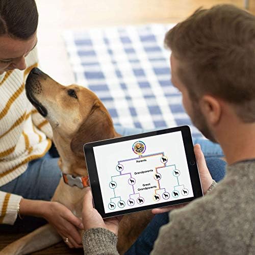 Embark Veterinary Accurate Dog DNA Test: Identify 350+ Breeds