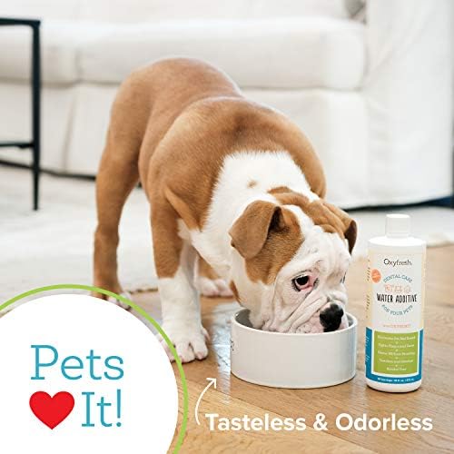 2026 Oxyfresh Premium Pet Dental Care Solution Pet Water Additive: Best Way to Eliminate Bad Dog Breath and Cat Bad Breath – Fights Tartar & Plaque – So Easy  Just Add to Water! Vet Recommended 128 oz.
